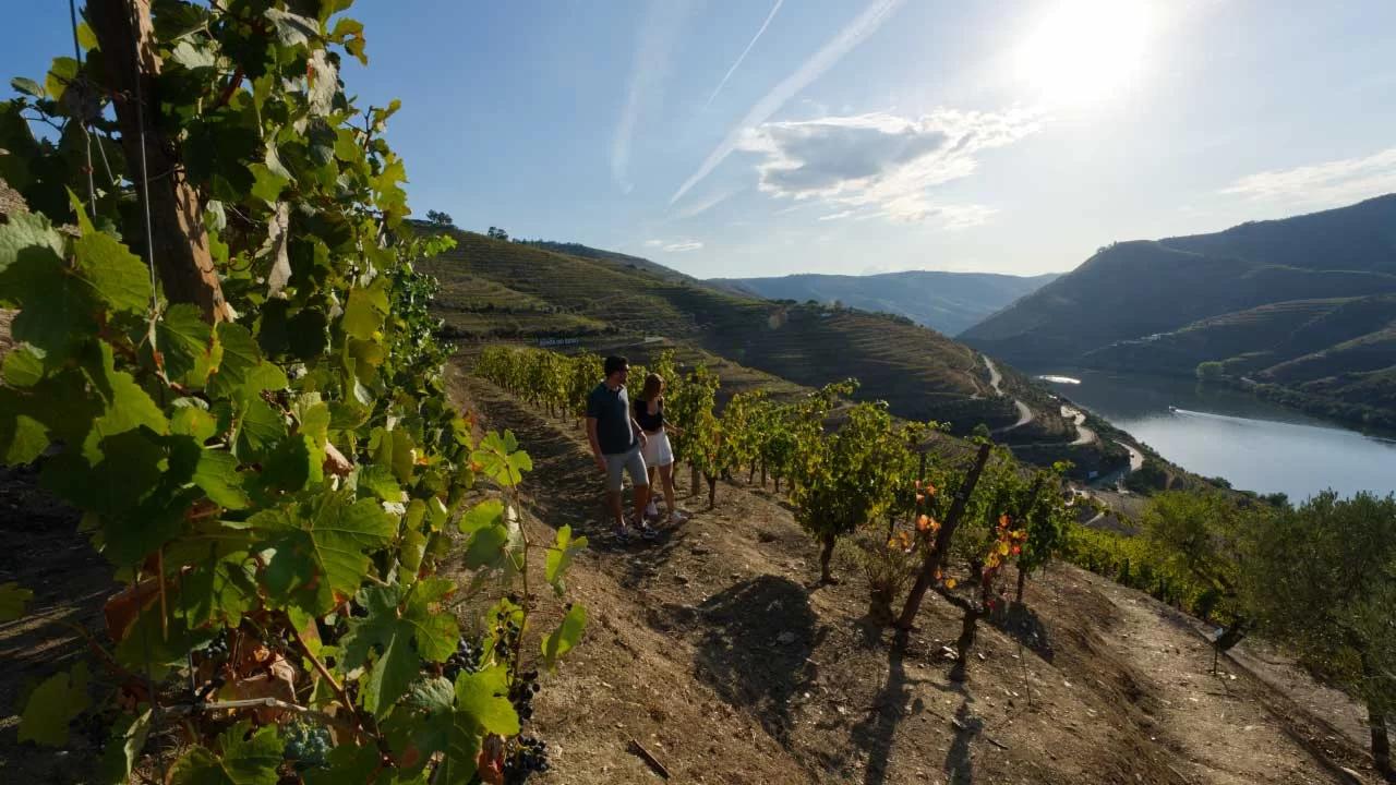 Douro Luxury - 4