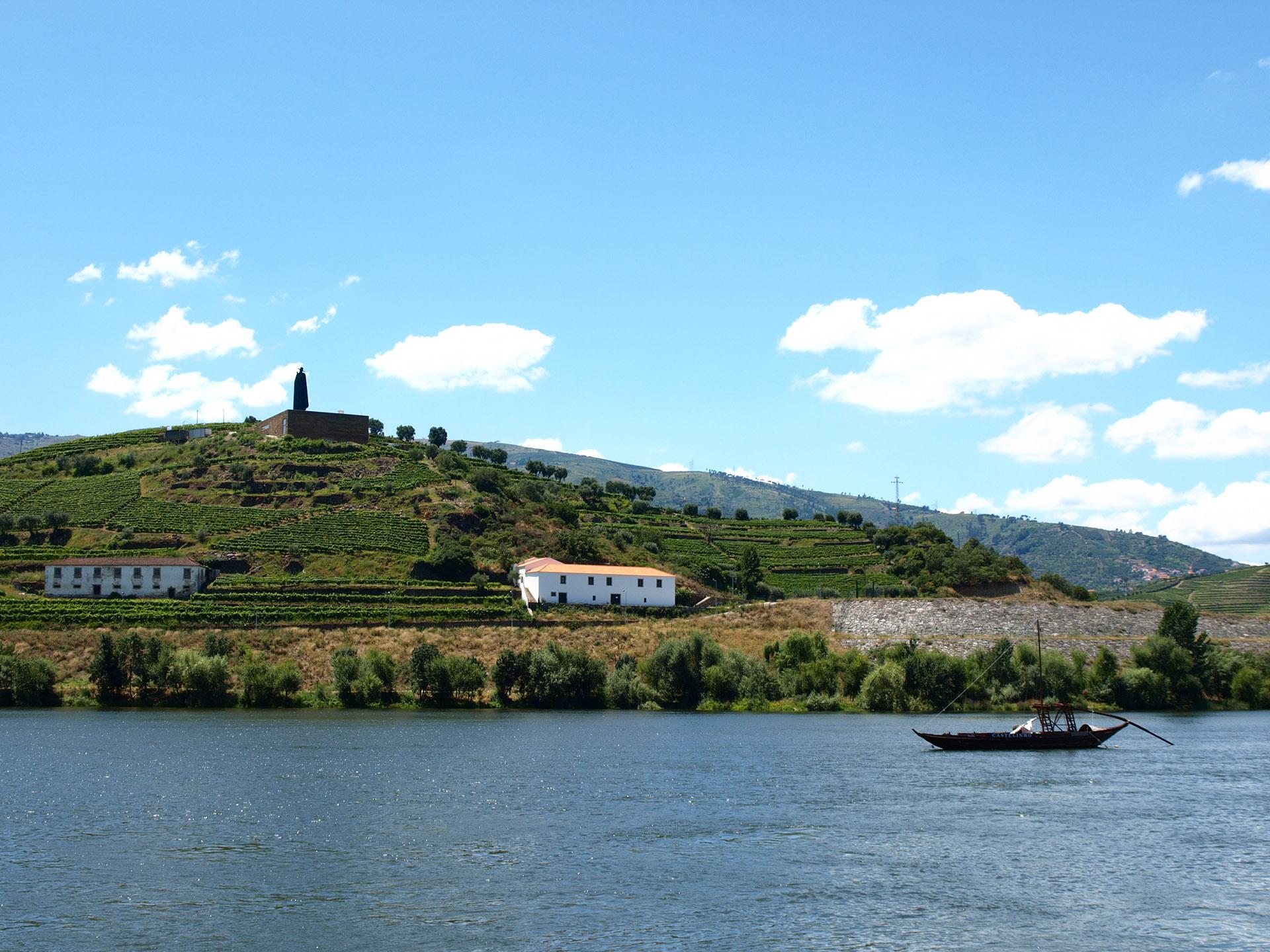 Subida do Douro de Barco e Descida em Autocarro: Porto - R&eacute;gua - 3